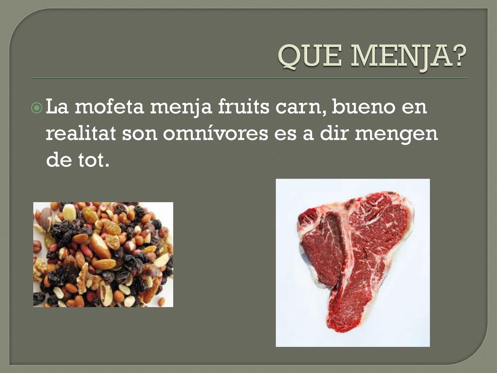 QUE MENJA La mofeta menja fruits carn, bueno en realitat son omnívores es a dir mengen de tot.