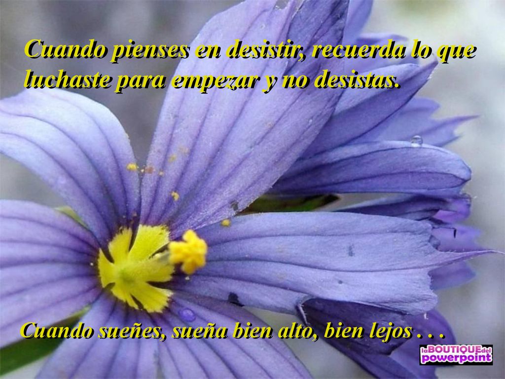 Cuando pienses en desistir, recuerda lo que luchaste para empezar y no desistas.