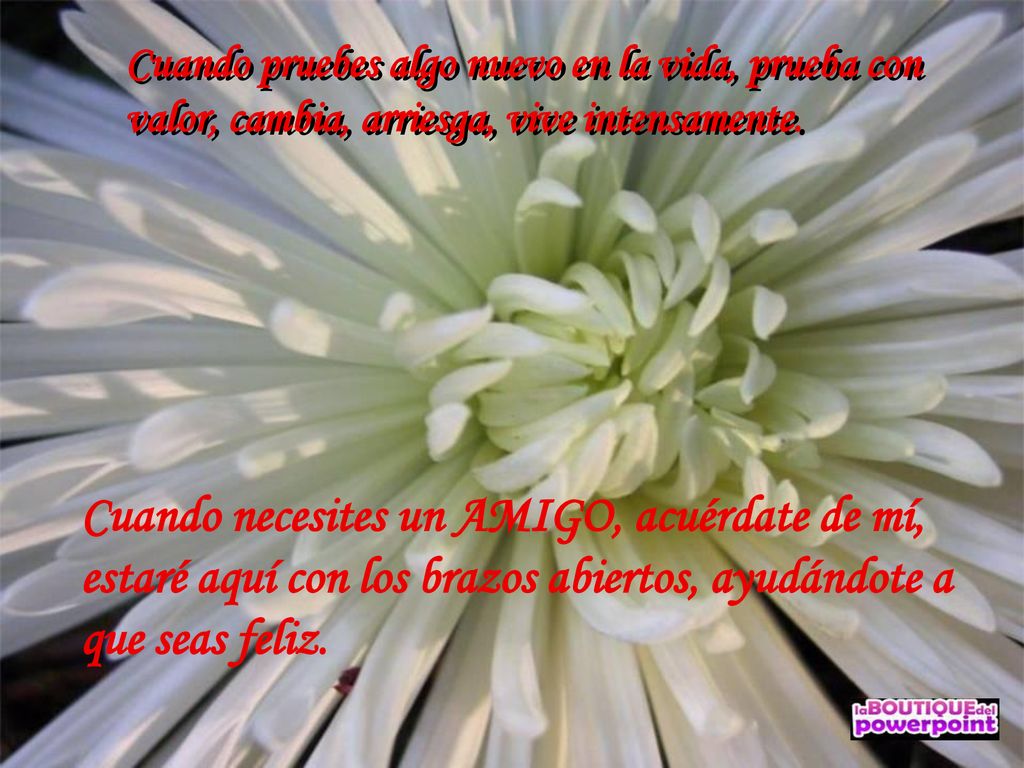 Cuando pruebes algo nuevo en la vida, prueba con valor, cambia, arriesga, vive intensamente.