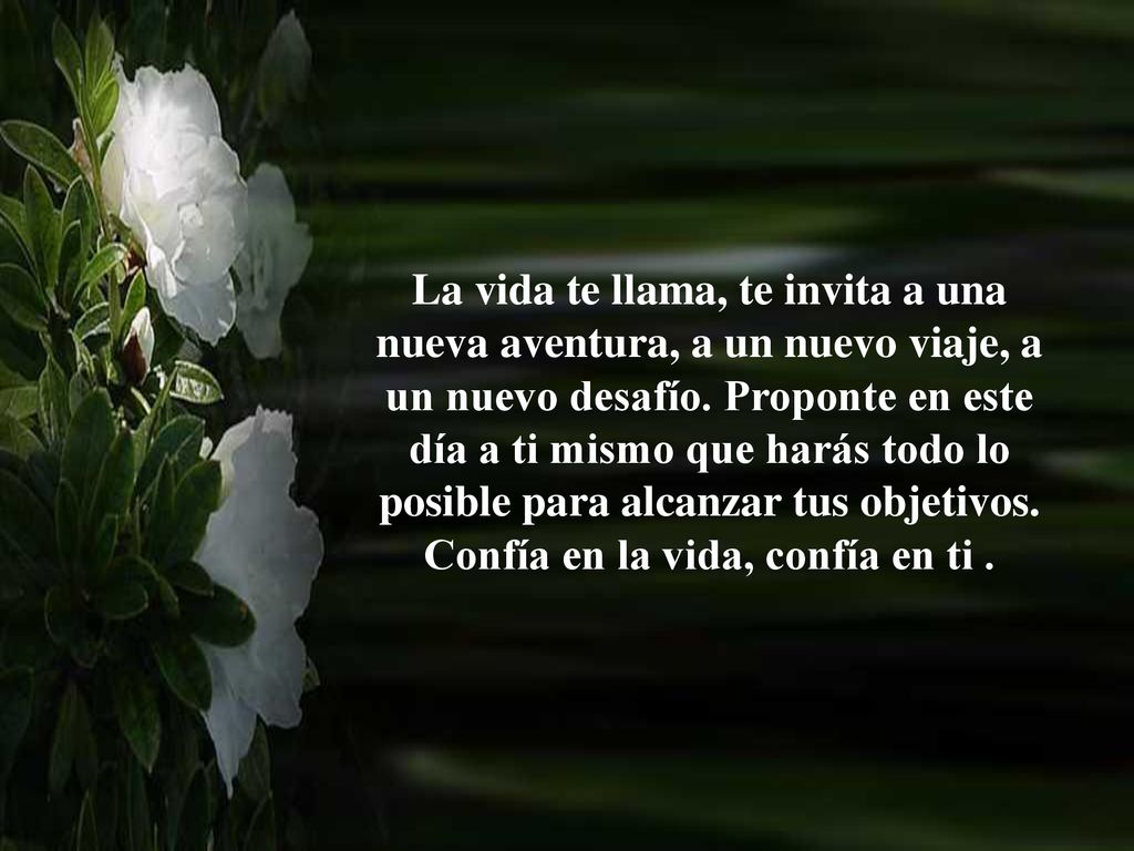La vida te llama, te invita a una nueva aventura, a un nuevo viaje, a un nuevo desafío.