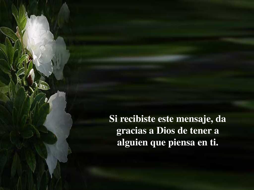Si recibiste este mensaje, da gracias a Dios de tener a alguien que piensa en ti.