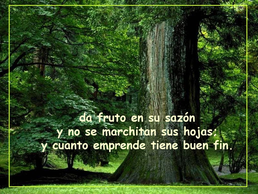 y no se marchitan sus hojas; y cuanto emprende tiene buen fin.