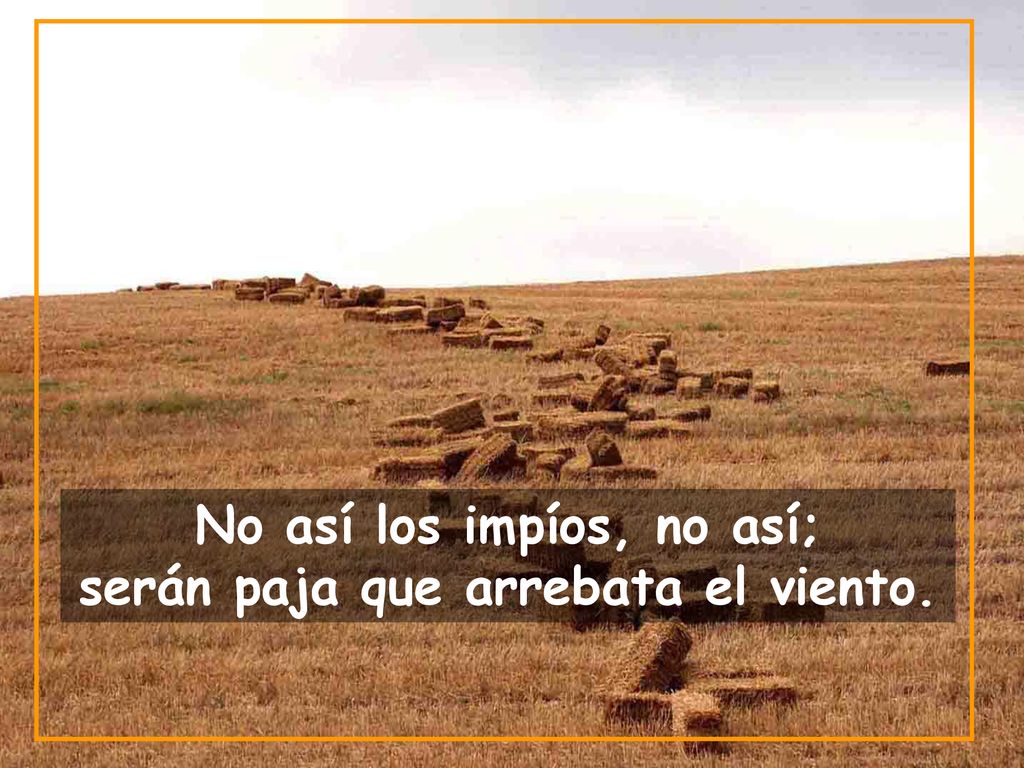 No así los impíos, no así; serán paja que arrebata el viento.