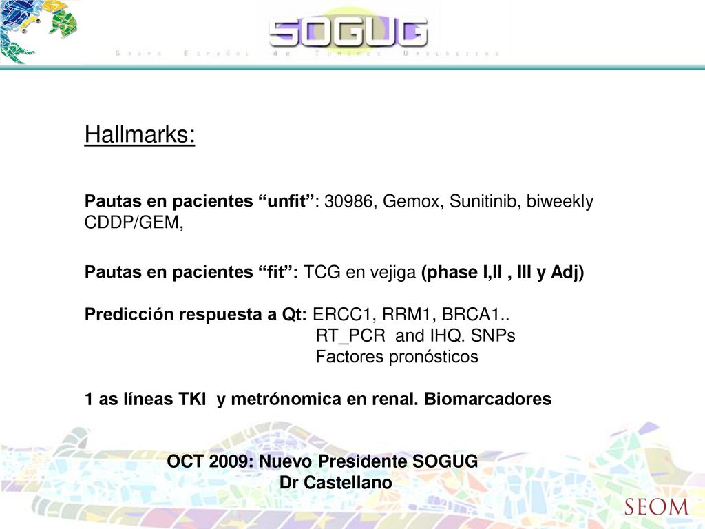 Hallmarks: Pautas en pacientes unfit : 30986, Gemox, Sunitinib, biweekly CDDP/GEM,
