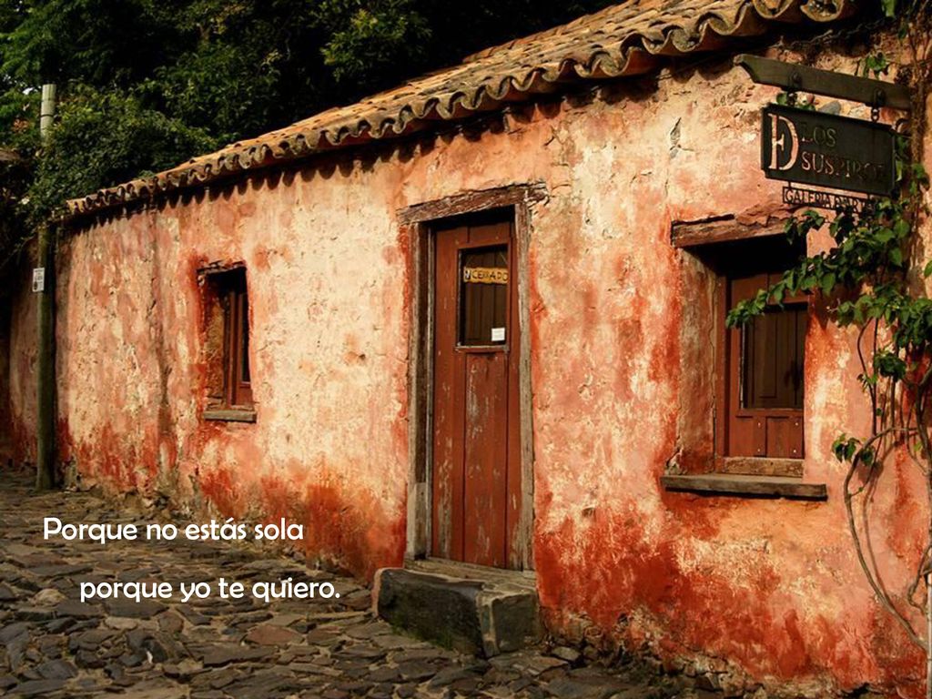 Porque no estás sola porque yo te quiero.