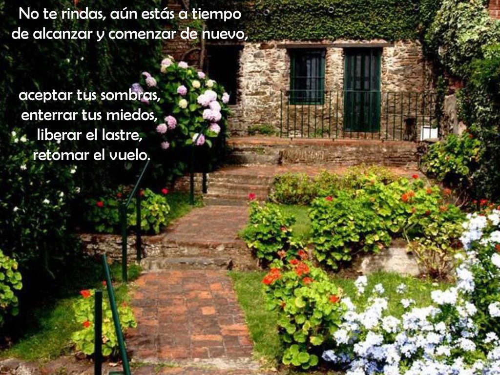 No te rindas, aún estás a tiempo de alcanzar y comenzar de nuevo,