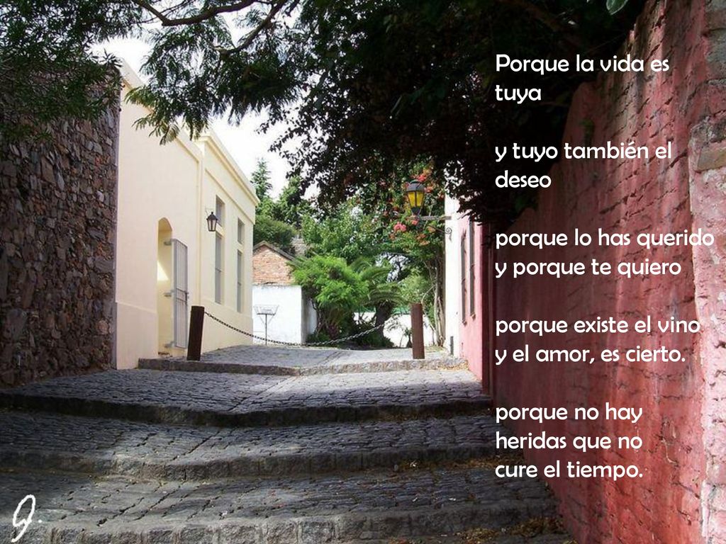 Porque la vida es tuya y tuyo también el deseo. porque lo has querido. y porque te quiero. porque existe el vino.