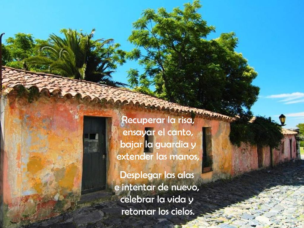 Recuperar la risa, ensayar el canto, bajar la guardia y