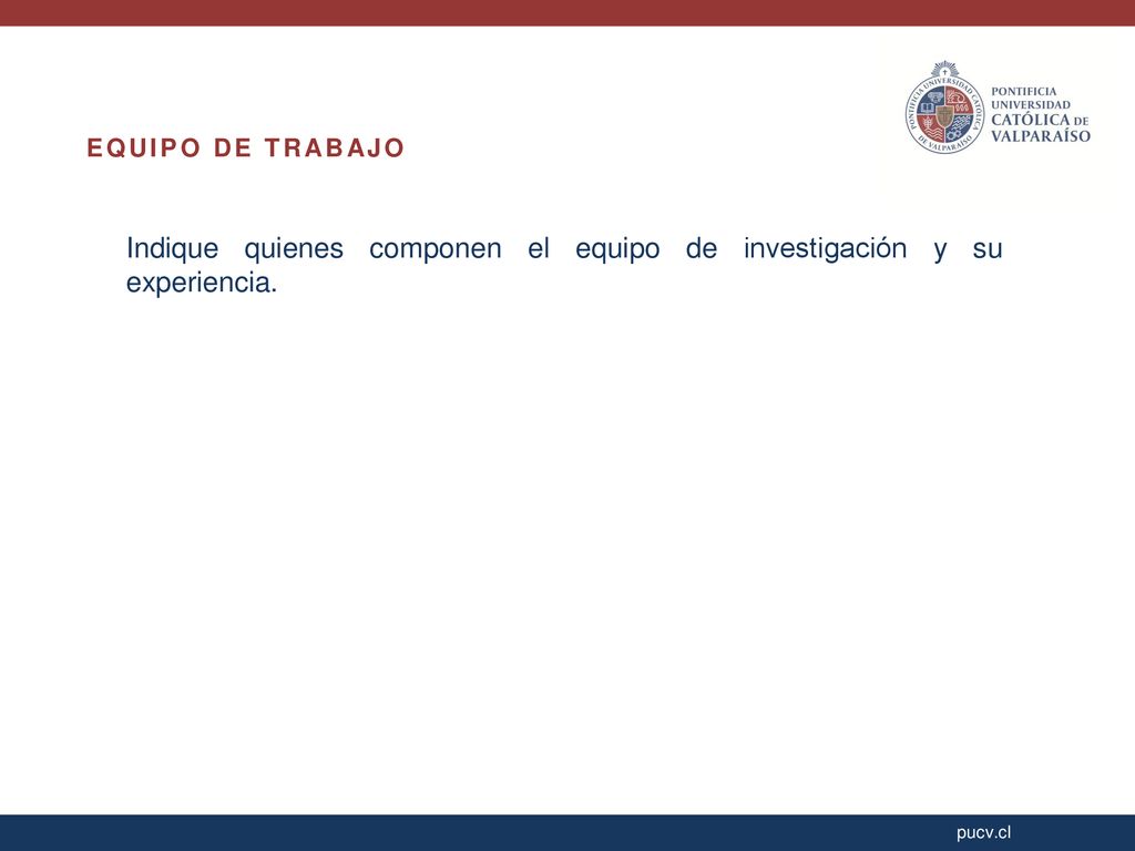 Indique quienes componen el equipo de investigación y su experiencia.