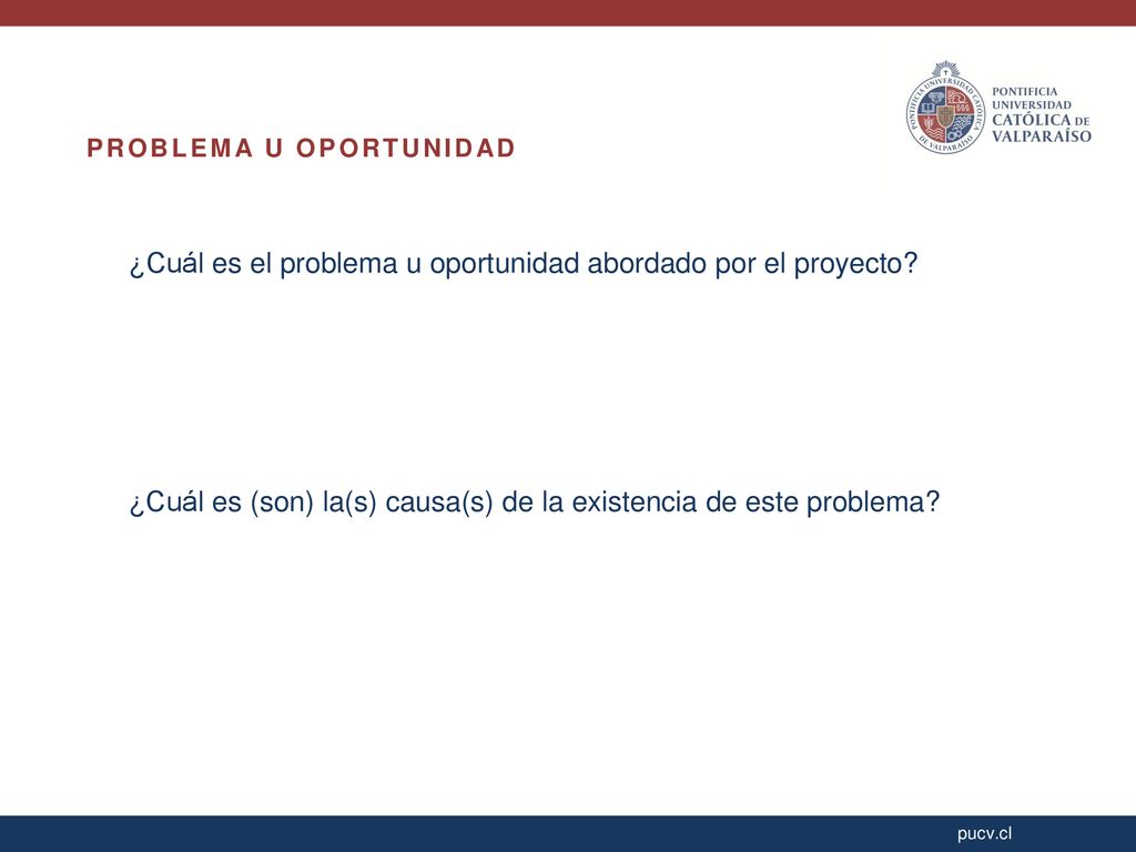 ¿Cuál es el problema u oportunidad abordado por el proyecto