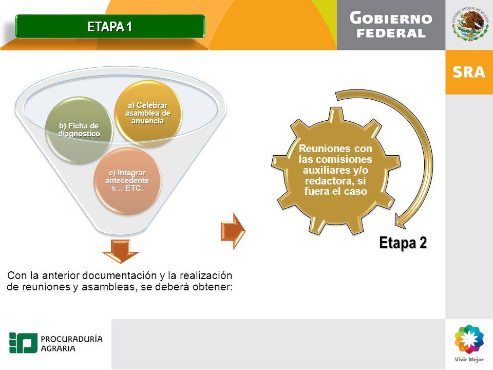 ETAPA 1 Reuniones con las comisiones auxiliares y/o redactora, si fuera el caso.
