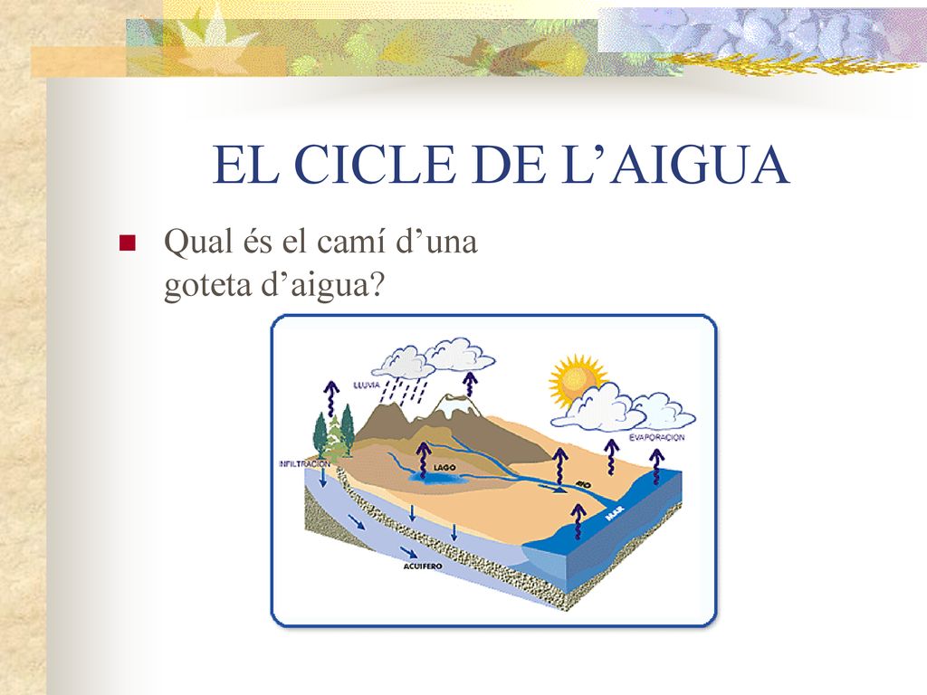 EL CICLE DE L’AIGUA Qual és el camí d’una goteta d’aigua