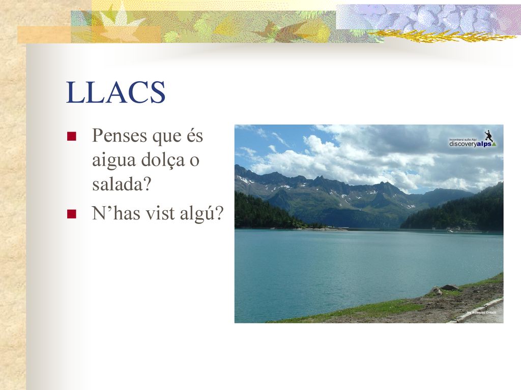 LLACS Penses que és aigua dolça o salada N’has vist algú