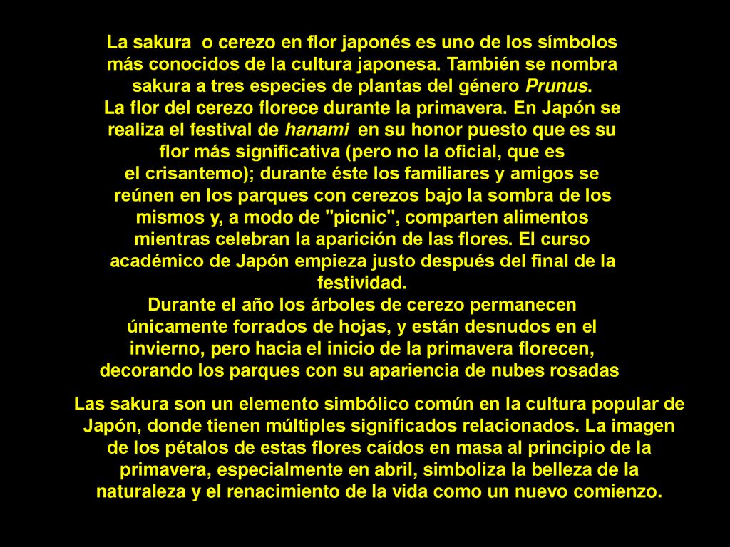 La sakura o cerezo en flor japonés es uno de los símbolos más conocidos de la cultura japonesa. También se nombra sakura a tres especies de plantas del género Prunus.
