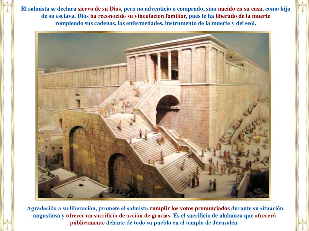 El salmista se declara siervo de su Dios, pero no adventicio o comprado, sino nacido en su casa, como hijo de su esclava. Dios ha reconocido su vinculación familiar, pues le ha liberado de la muerte