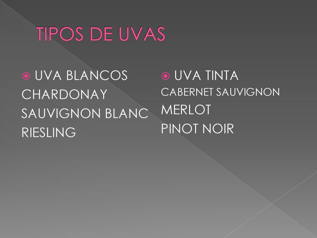 TIPOS DE UVAS UVA BLANCOS UVA TINTA CHARDONAY MERLOT SAUVIGNON BLANC