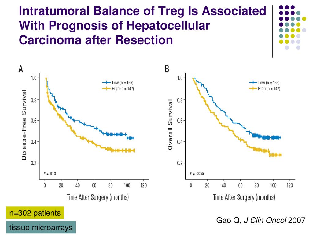 Intratumoral Balance of Treg Is Associated With Prognosis of Hepatocellular Carcinoma after Resection