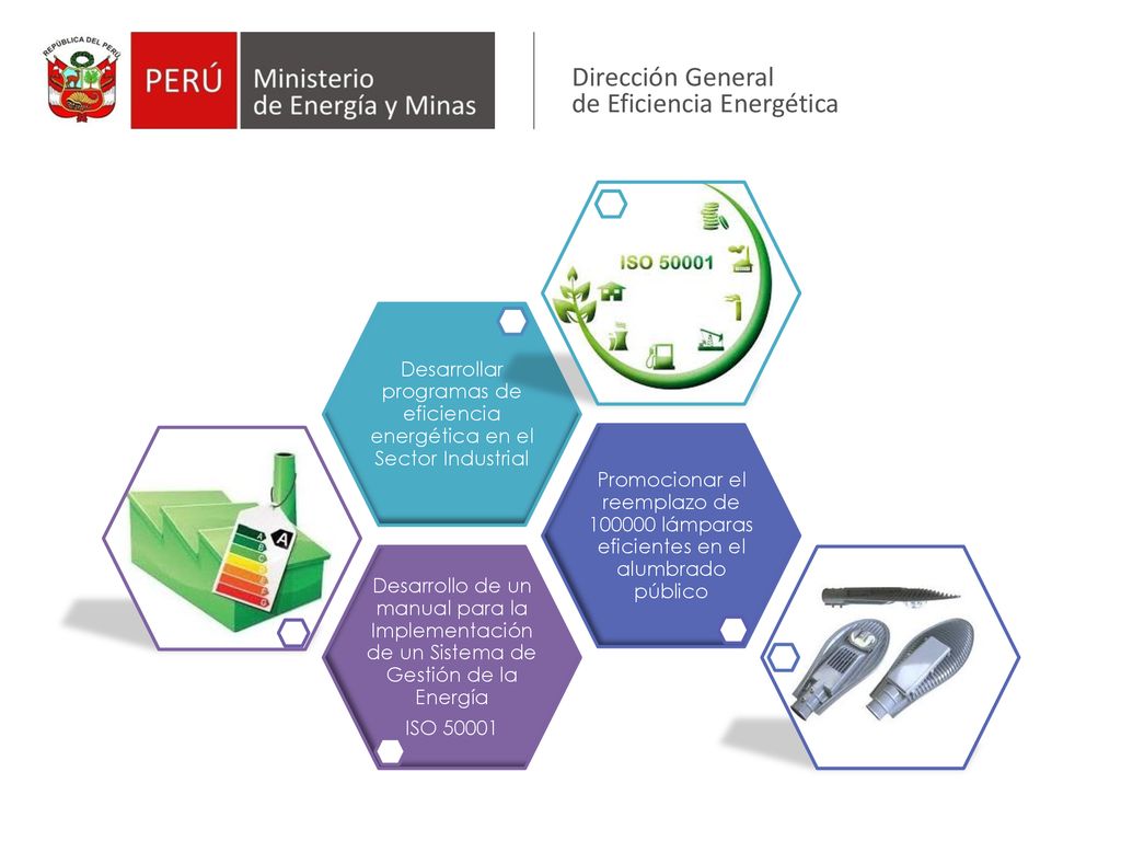 Desarrollar programas de eficiencia energética en el Sector Industrial
