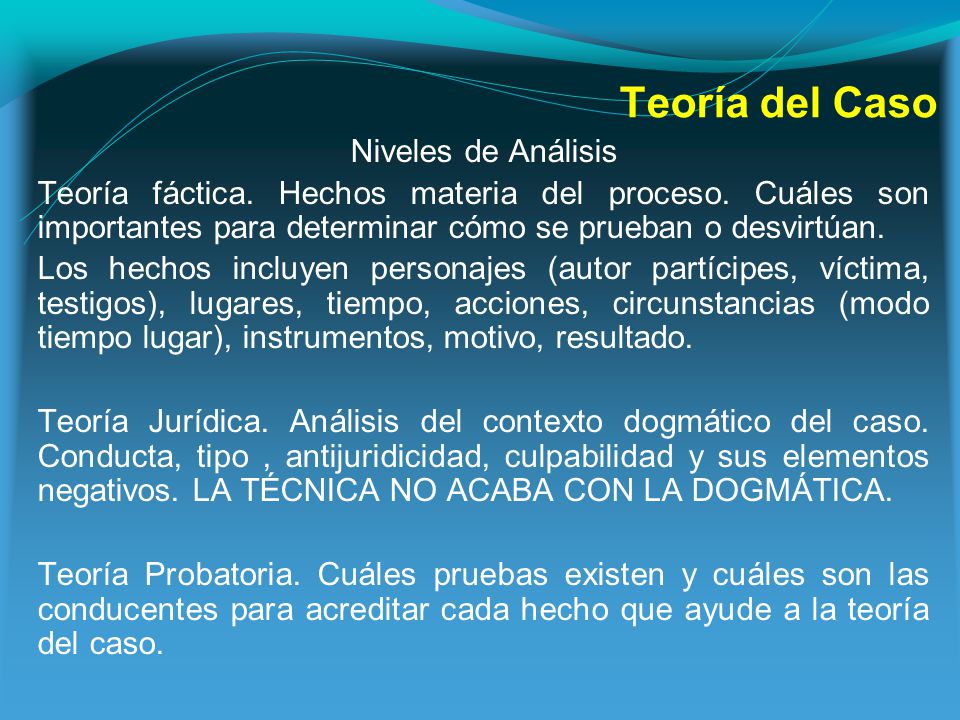 Teoría del Caso Niveles de Análisis