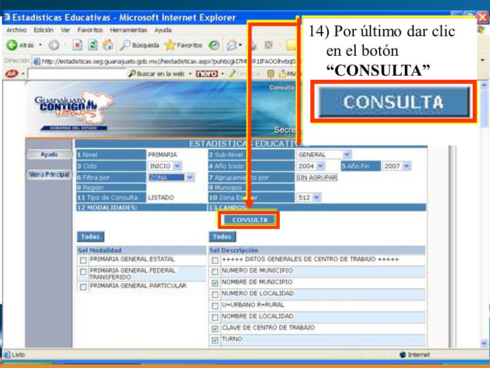 14) Por último dar clic en el botón CONSULTA
