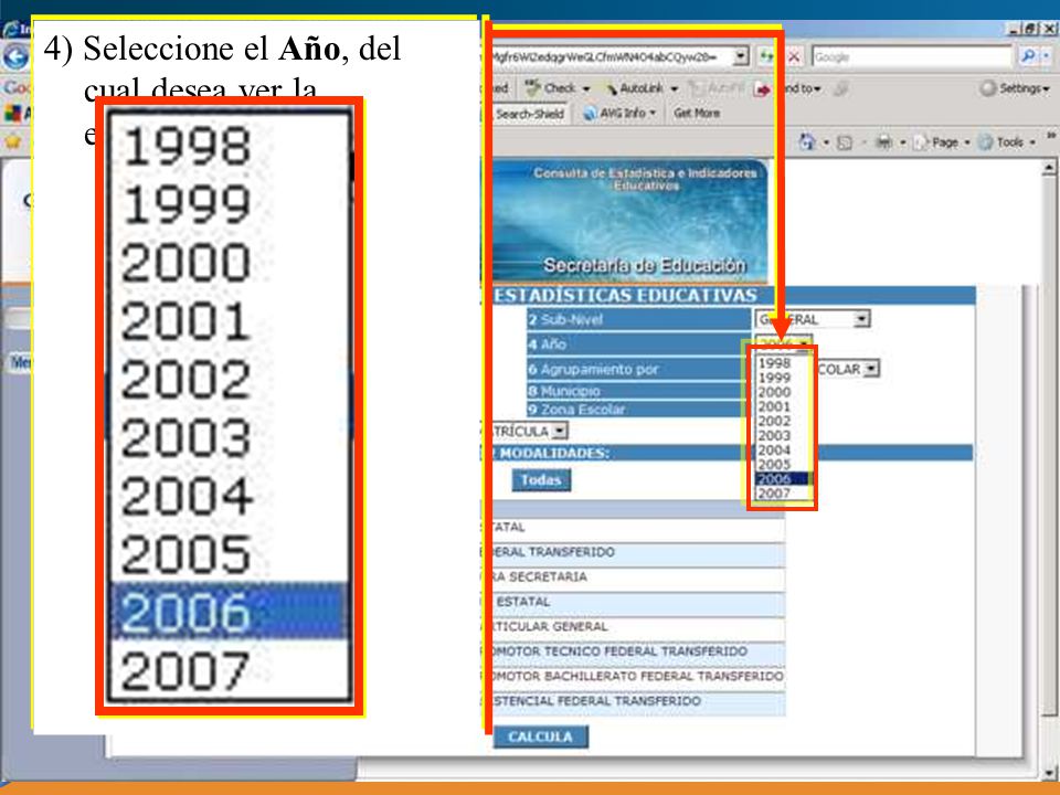 4) Seleccione el Año, del cual desea ver la estadística