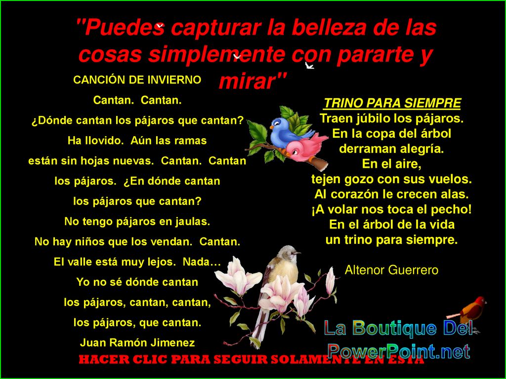 Puedes capturar la belleza de las cosas simplemente con pararte y mirar