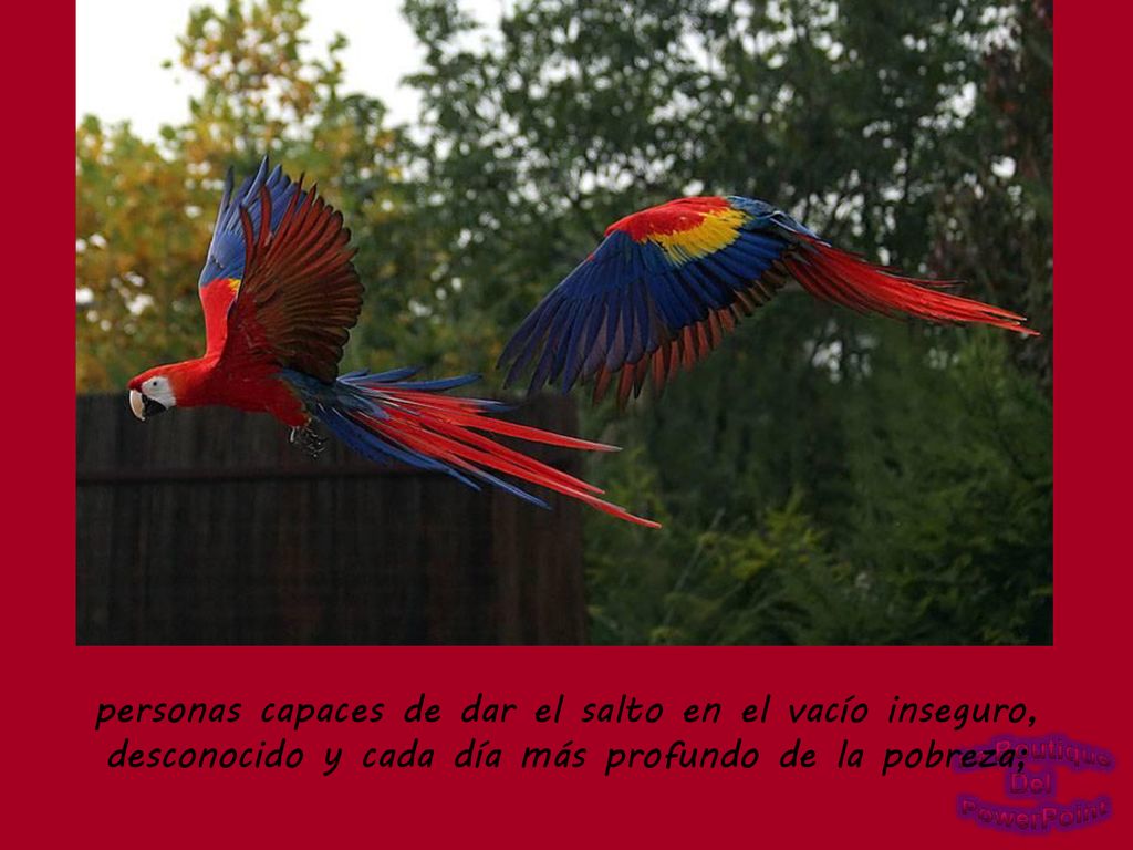 personas capaces de dar el salto en el vacío inseguro,