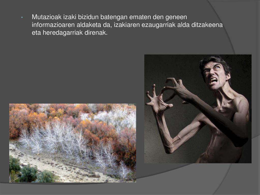 Mutazioak izaki bizidun batengan ematen den geneen informazioaren aldaketa da, izakiaren ezaugarriak alda ditzakeena eta heredagarriak direnak.