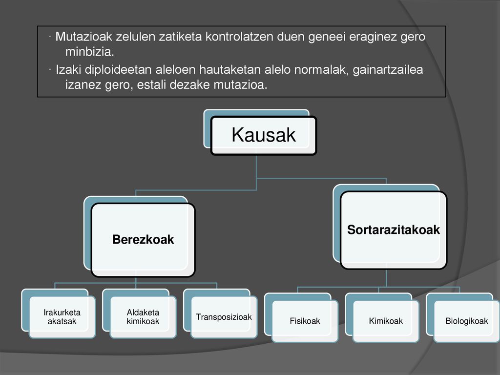 · Mutazioak zelulen zatiketa kontrolatzen duen geneei eraginez gero minbizia. · Izaki diploideetan aleloen hautaketan alelo normalak, gainartzailea izanez gero, estali dezake mutazioa.