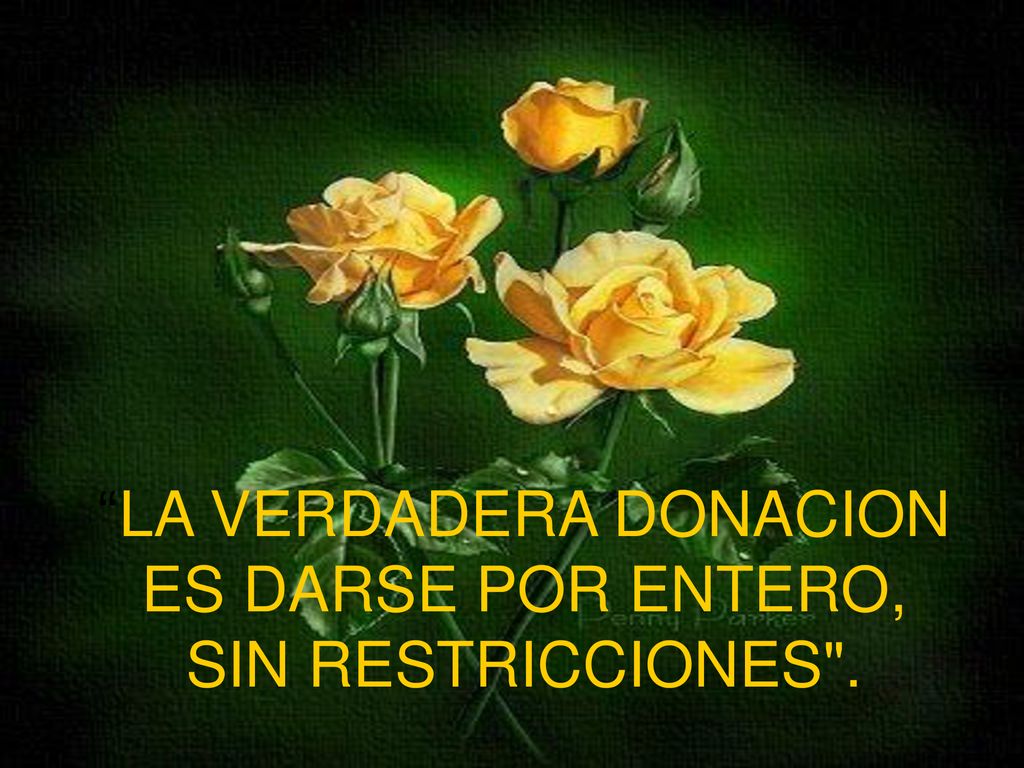LA VERDADERA DONACION ES DARSE POR ENTERO, SIN RESTRICCIONES .