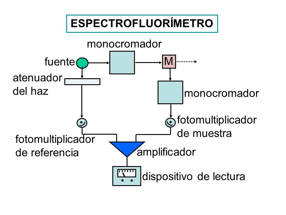 ESPECTROFLUORÍMETRO monocromador. fuente. M. atenuador del haz. monocromador. fotomultiplicador de muestra.