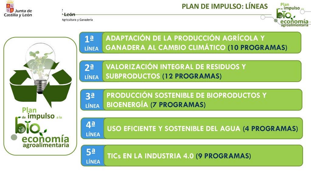 1ª LÍNEA 2ª LÍNEA 3ª LÍNEA 4ª LÍNEA 5ª LÍNEA PLAN DE IMPULSO: LÍNEAS