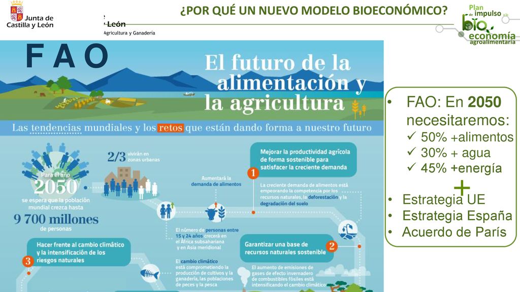F A O + FAO: En 2050 necesitaremos: Estrategia UE Estrategia España
