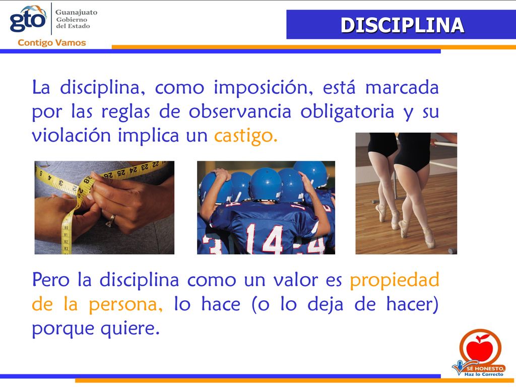 La disciplina, como imposición, está marcada por las reglas de observancia obligatoria y su violación implica un castigo.