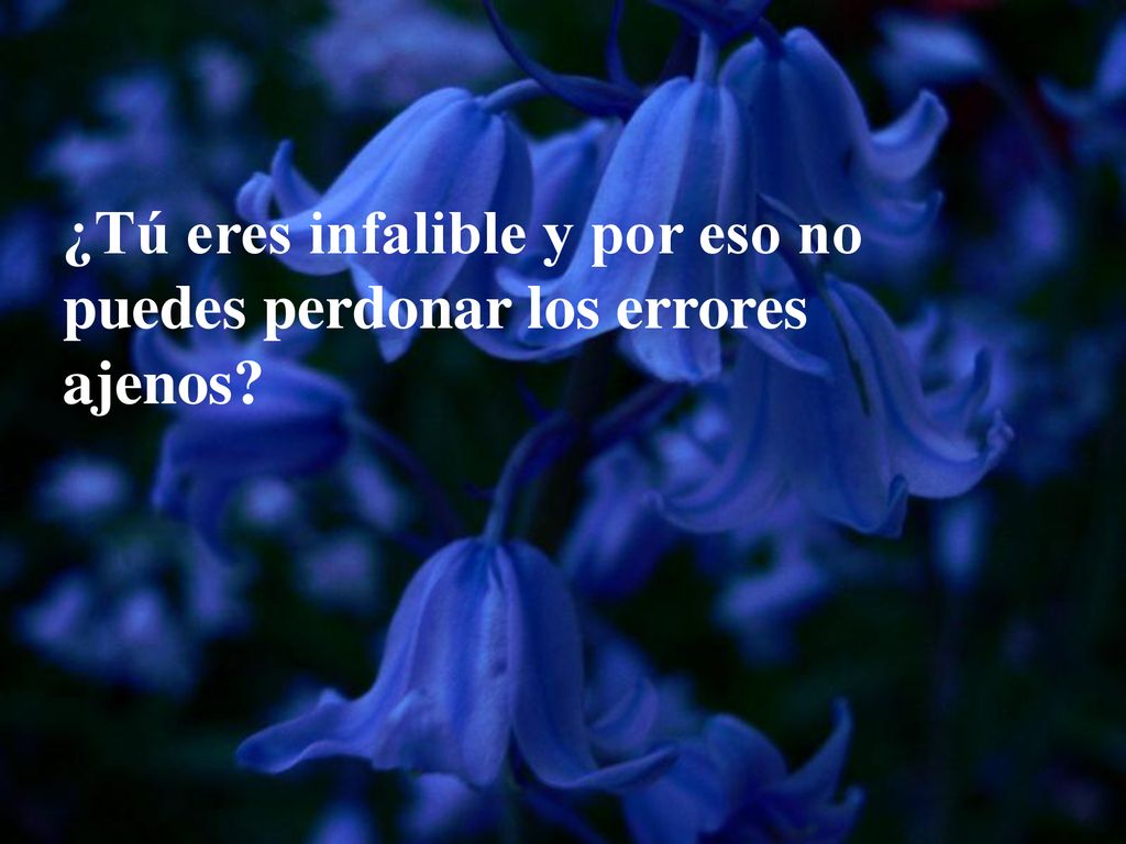 ¿Tú eres infalible y por eso no puedes perdonar los errores ajenos