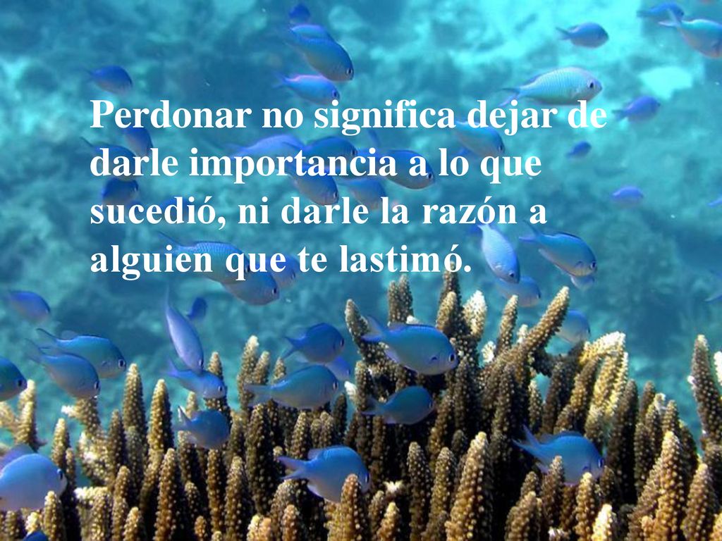 Perdonar no significa dejar de darle importancia a lo que sucedió, ni darle la razón a alguien que te lastimó.