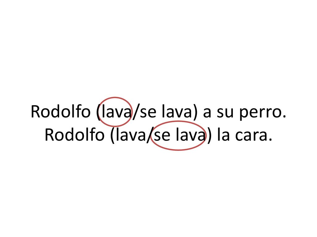 Rodolfo (lava/se lava) a su perro. Rodolfo (lava/se lava) la cara.
