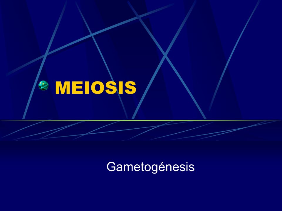 MEIOSIS Gametogénesis
