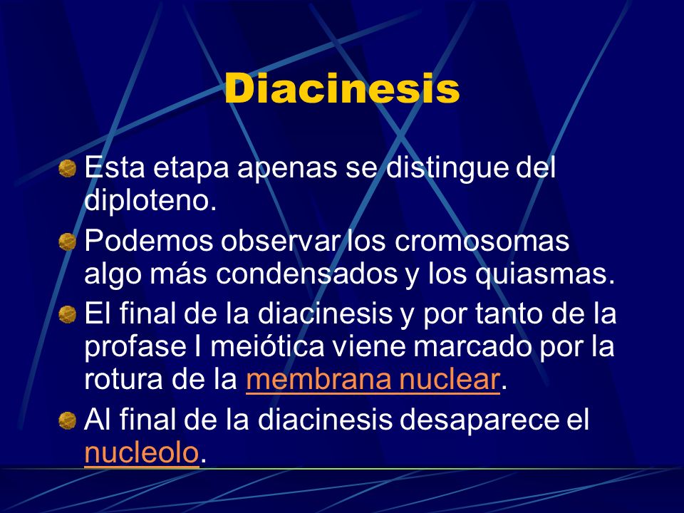 Diacinesis Esta etapa apenas se distingue del diploteno.