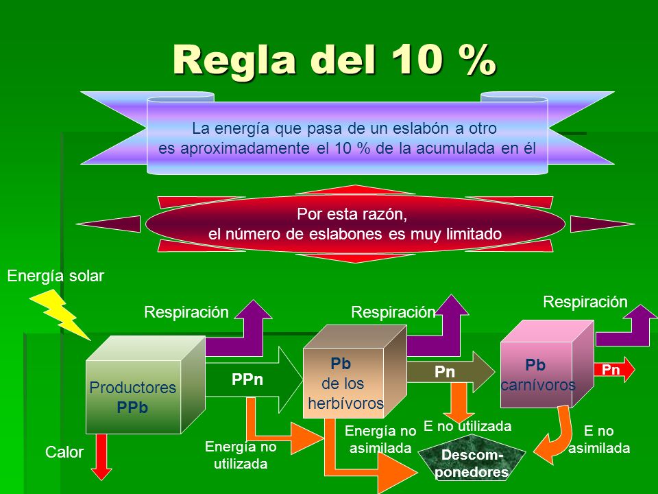 Regla del 10 % La energía que pasa de un eslabón a otro