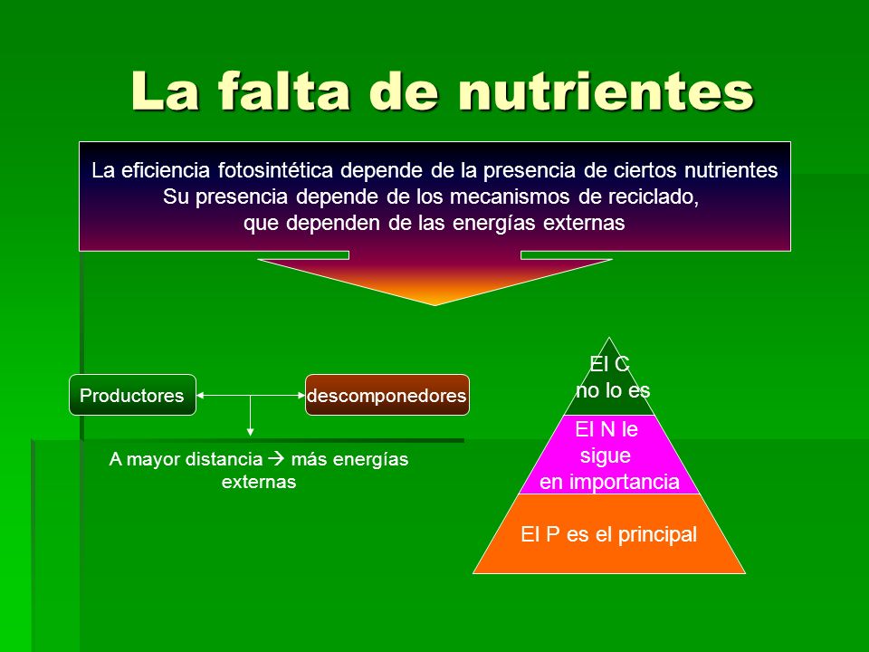 La falta de nutrientes La eficiencia fotosintética depende de la presencia de ciertos nutrientes.