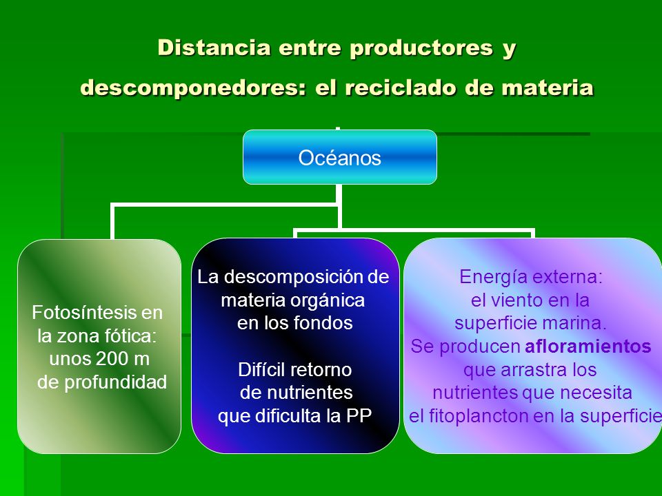 Distancia entre productores y descomponedores: el reciclado de materia