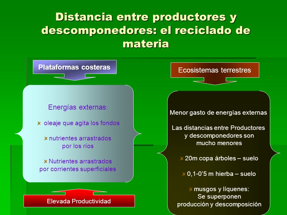 Distancia entre productores y descomponedores: el reciclado de materia