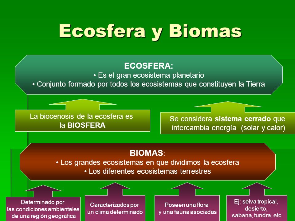 Ecosfera y Biomas ECOSFERA: BIOMAS: Es el gran ecosistema planetario