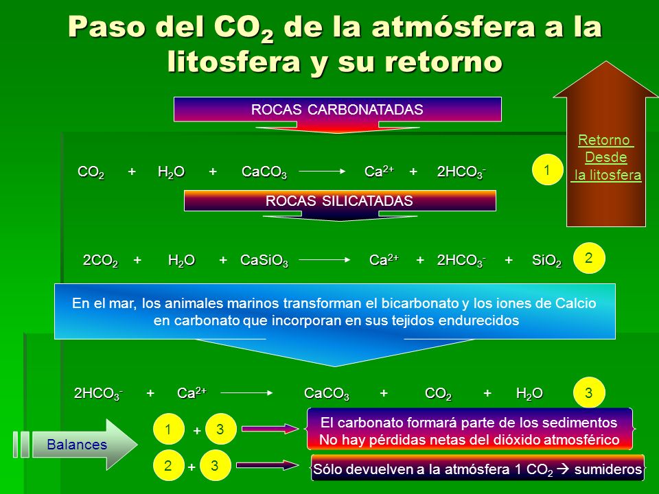Paso del CO2 de la atmósfera a la litosfera y su retorno