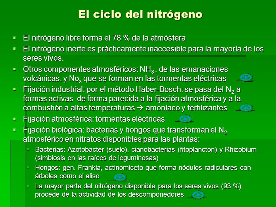 El ciclo del nitrógeno El nitrógeno libre forma el 78 % de la atmósfera.
