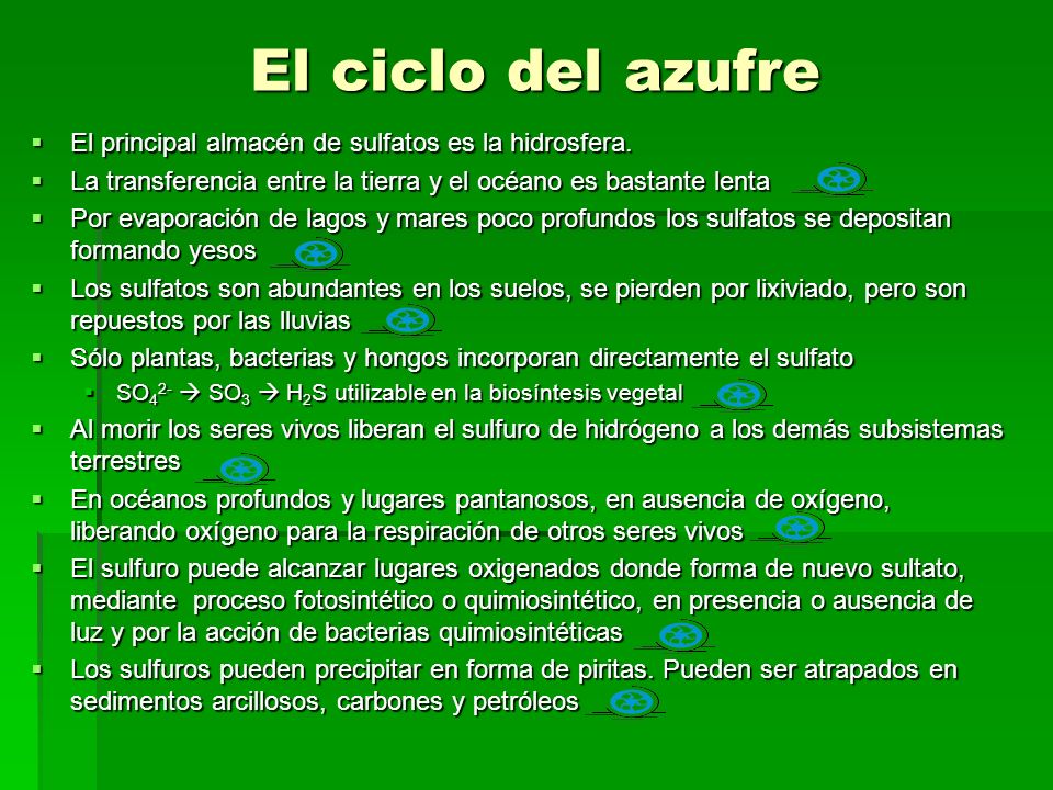 El ciclo del azufre El principal almacén de sulfatos es la hidrosfera.