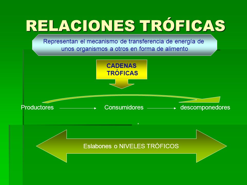 RELACIONES TRÓFICAS Representan el mecanismo de transferencia de energía de. unos organismos a otros en forma de alimento.