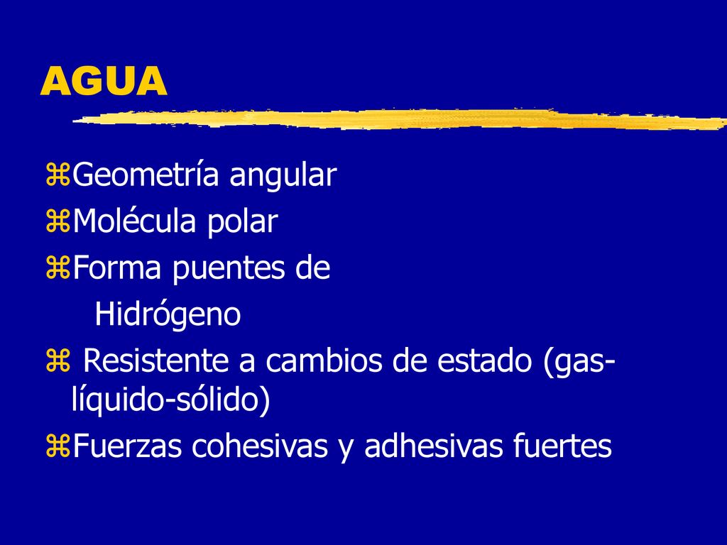 AGUA Geometría angular Molécula polar Forma puentes de Hidrógeno