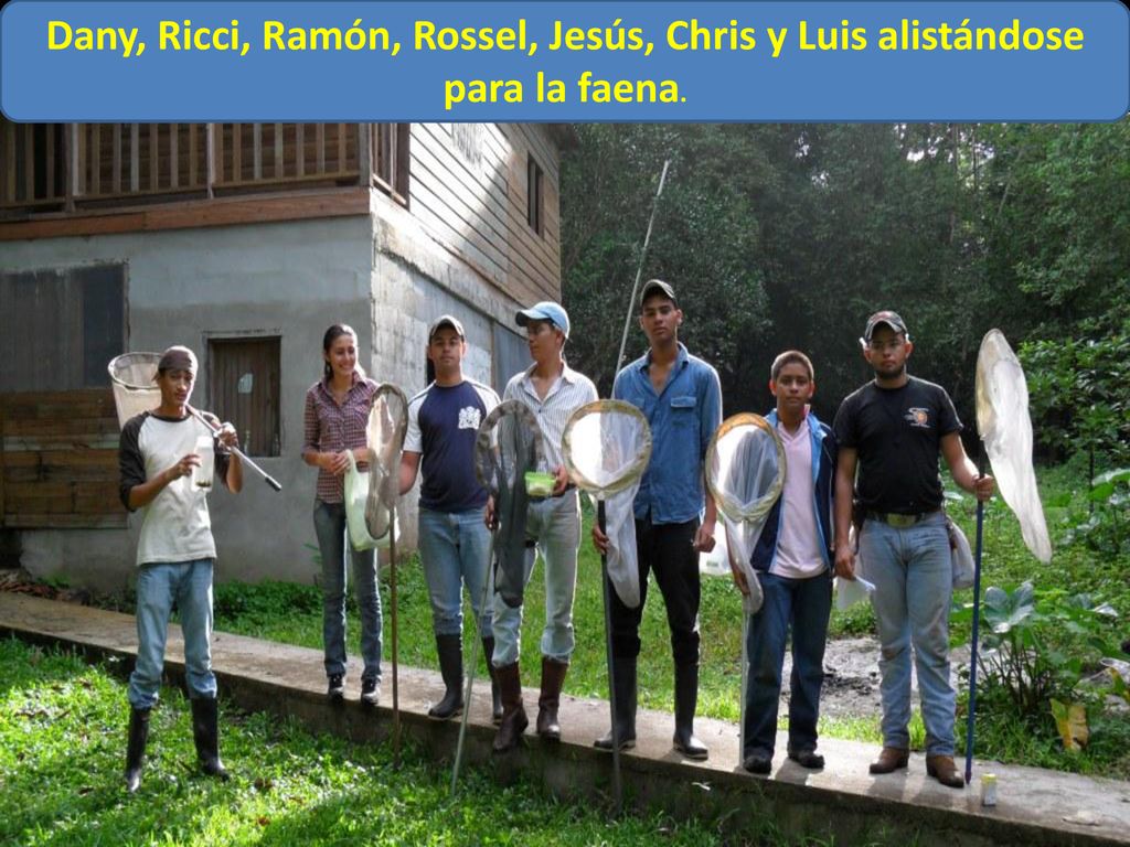 Dany, Ricci, Ramón, Rossel, Jesús, Chris y Luis alistándose para la faena.